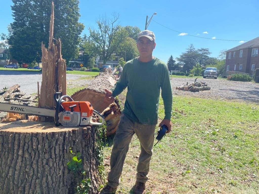 Edin De Leon of De Leon Brothers on a tree-removal job
