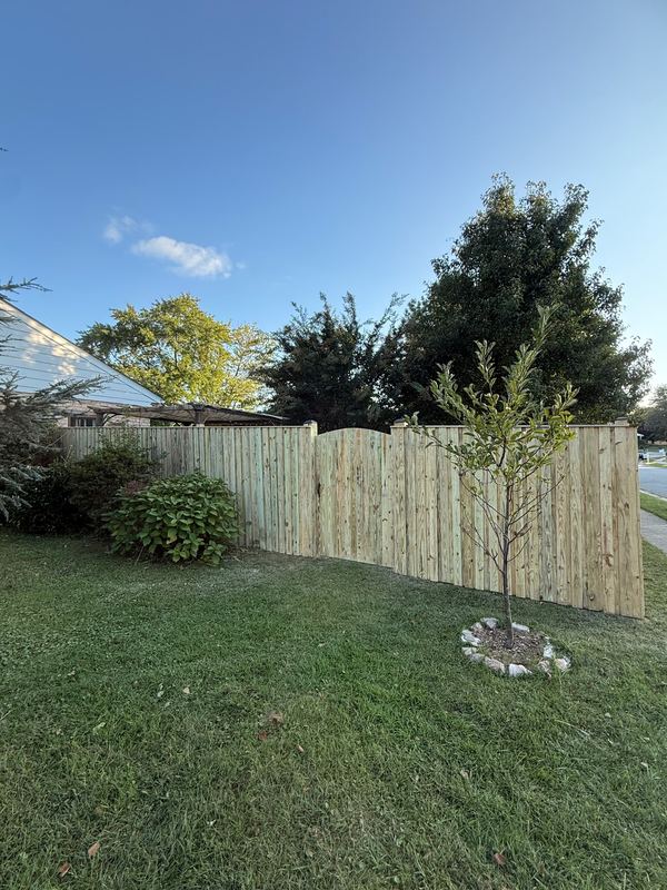 New wood privacy fence in a backyard