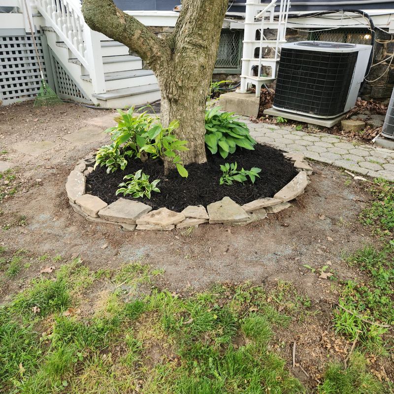 Stone tree ring with shade plantings